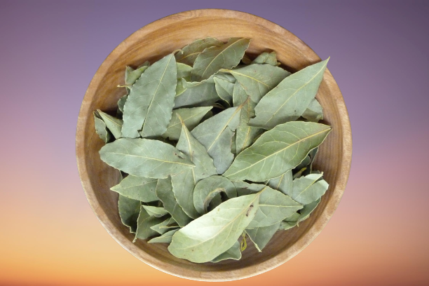 Fines Herbes - Poudre de Fines Herbes de Bretagne bio et Demeter 100 g – Image 2