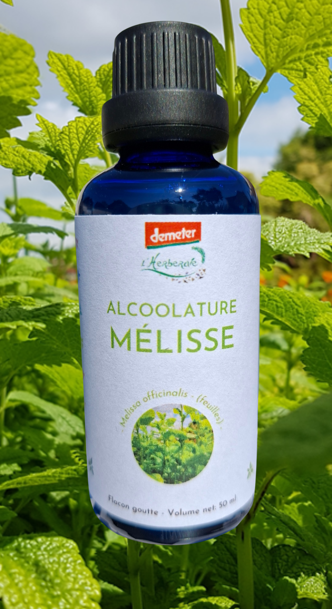 Alcoolature bio et Demeter Mélisse - Melissa officinalis