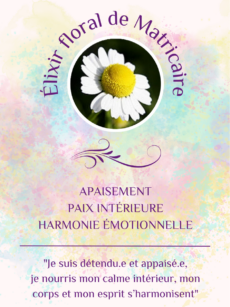 Elixir Floral Matricaire bio et Demeter (20 ml)