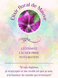 Elixir Floral Mauve bio et Demeter  (20 ml)
