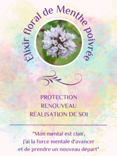 Elixir Floral Menthe poivrée bio et Demeter (20 ml)