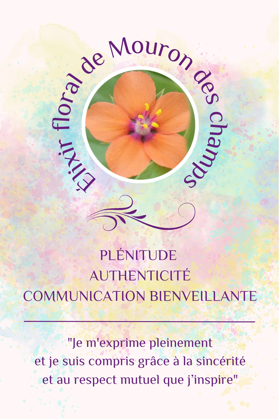 Elixir floral Mouron des champs bio et Demeter (20 ml)