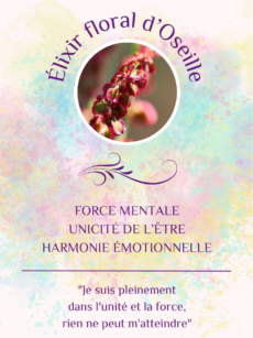 Elixir floral Oseille bio et Demeter (20 ml)