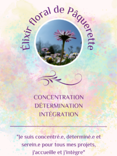 Elixir Floral Pâquerette bio et Demeter (20 ml)