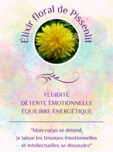 Elixir Floral Pissenlit bio et Demeter (20 ml)