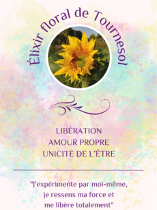 Elixir floral Tournesol bio et Demeter (20 ml)