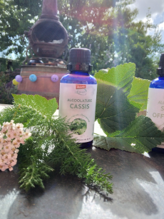 Synergie personnalisée d'alcoolatures (50ml)