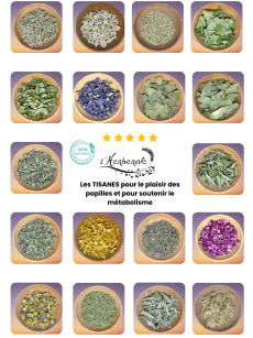 *Synergie personnalisée de plantes sèches (sachet de 80g)