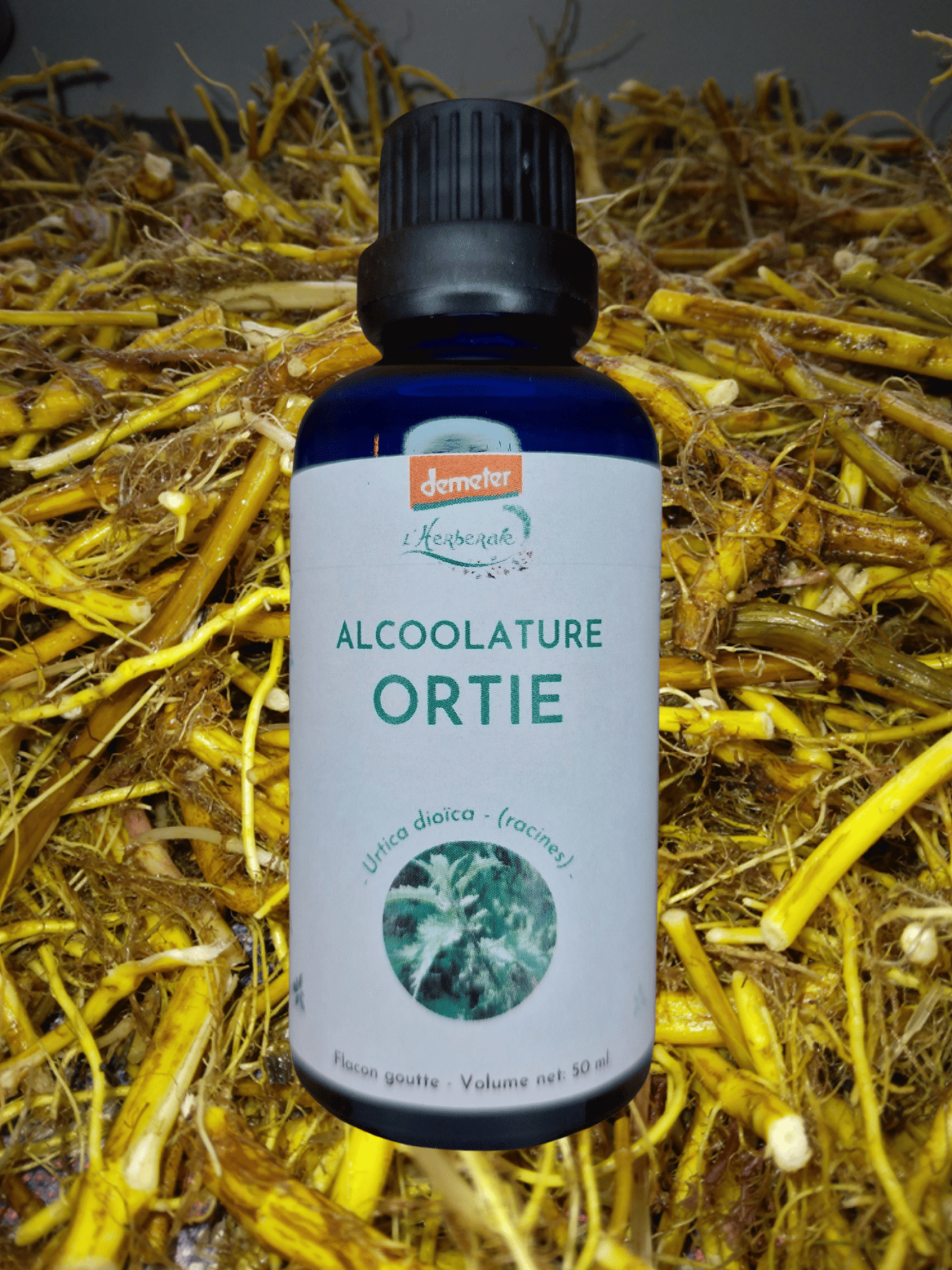 Pull en laine biologique SuperTanya vert épais naturel 100