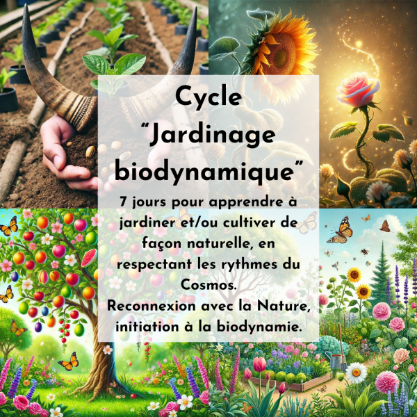 * JARDINAGE BIODYNAMIQUE 2026 - Cycle complet (-20%) 🍃🌸✨