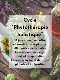 * PHYTOTHÉRAPIE HOLISTIQUE 2026 - Cycle complet (-20%) 🍃🌸✨