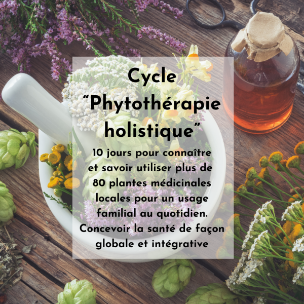 * PHYTOTHÉRAPIE HOLISTIQUE 2026 - Cycle complet (-20%) 🍃🌸✨