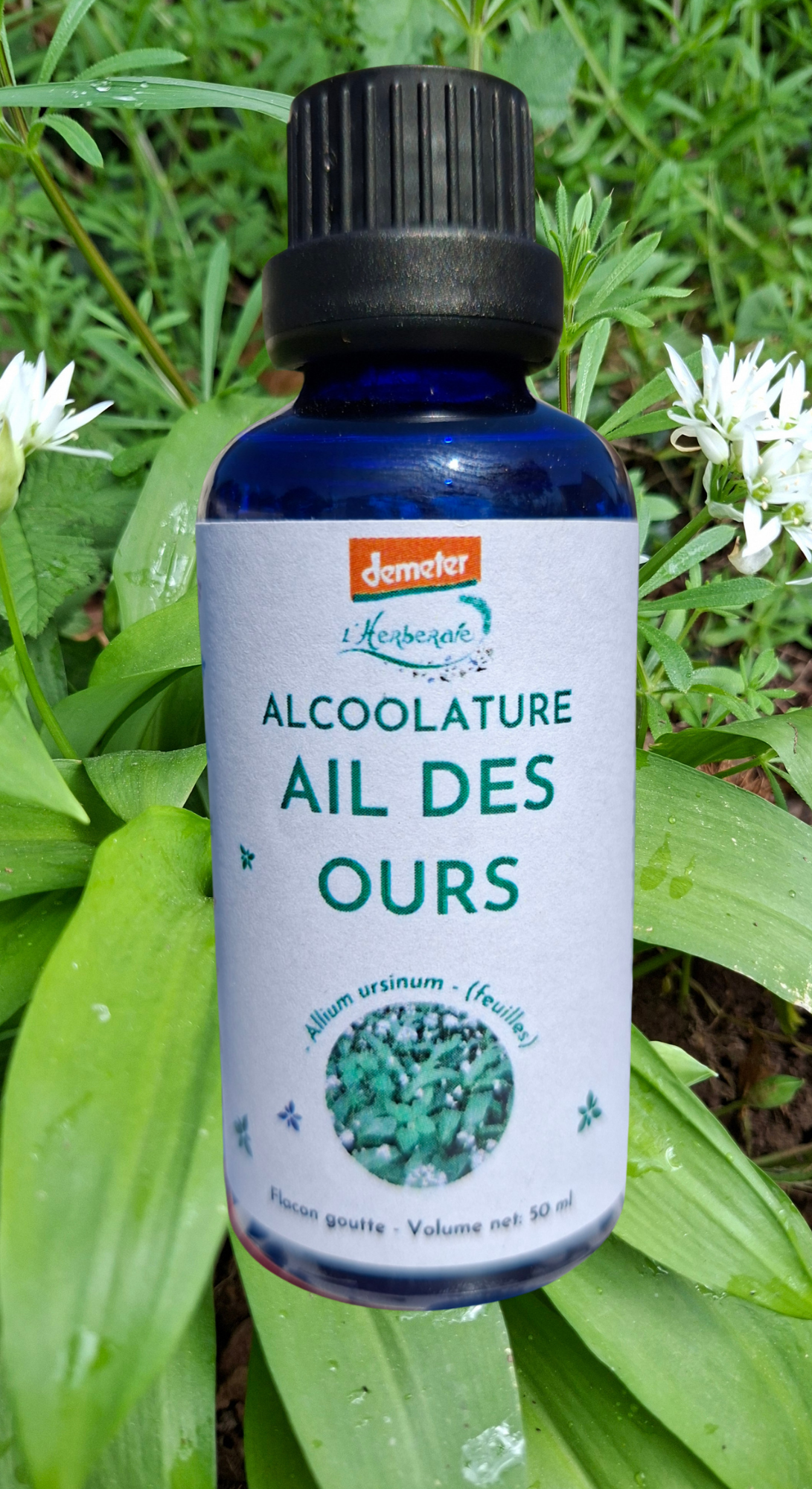 Alcoolature bio et Demeter Ail des ours - Allium ursinum