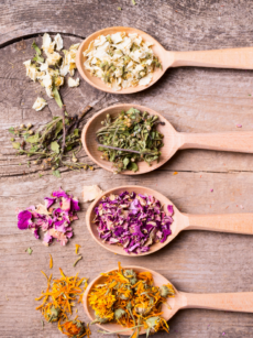 PLANTES SÈCHES BIO ET DEMETER