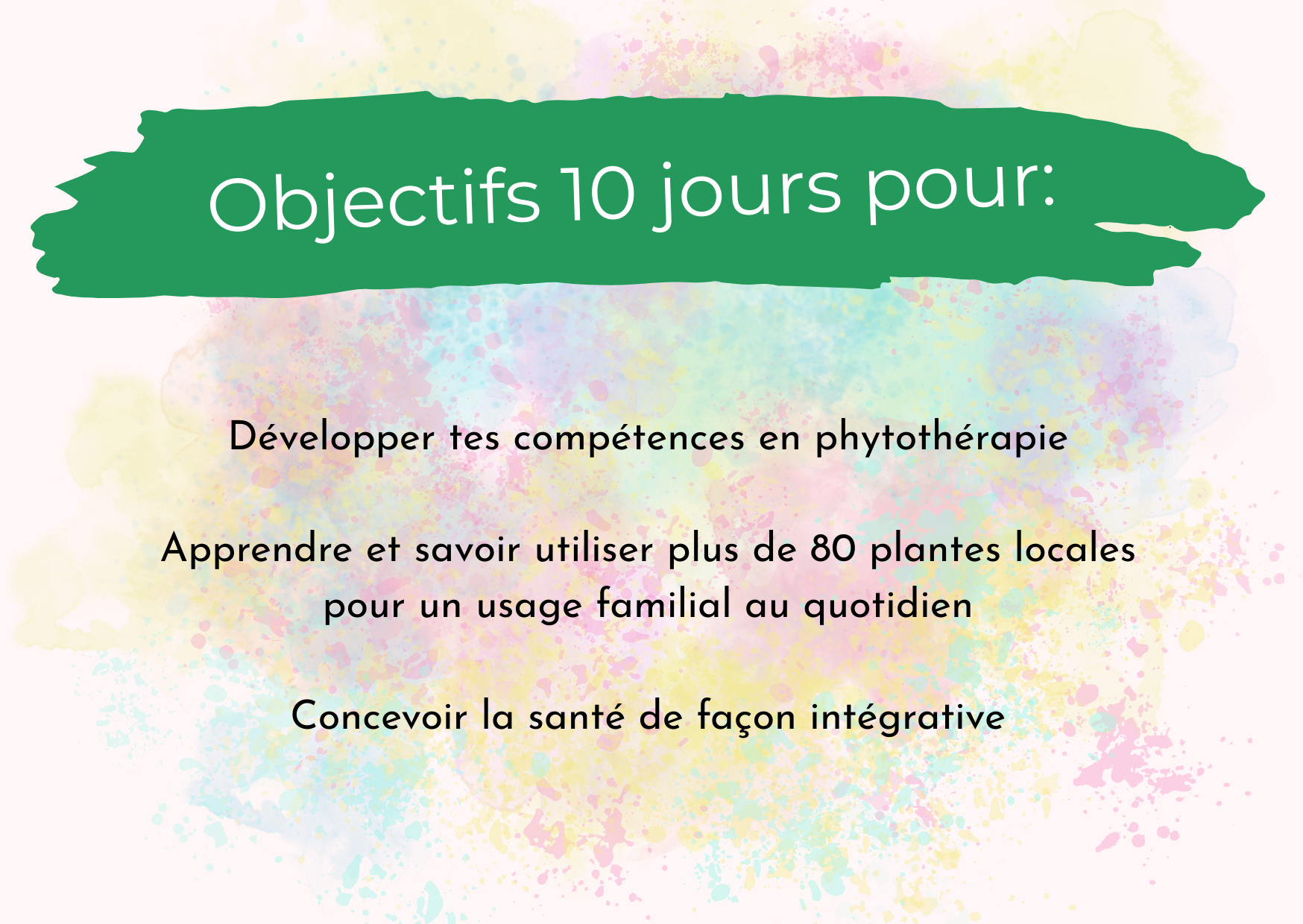 * PHYTOTHÉRAPIE HOLISTIQUE 2026 - Cycle complet en distanciel✨ – Image 3