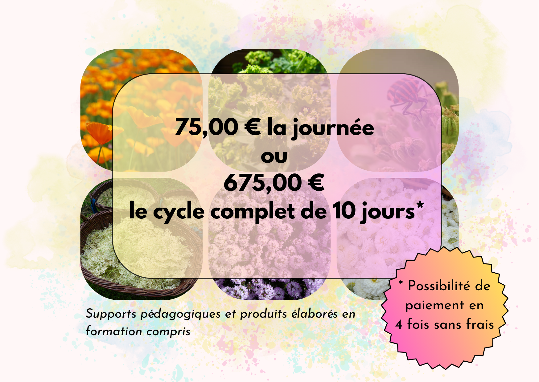 * PHYTOTHÉRAPIE HOLISTIQUE 2026 - Cycle complet en distanciel✨ – Image 6