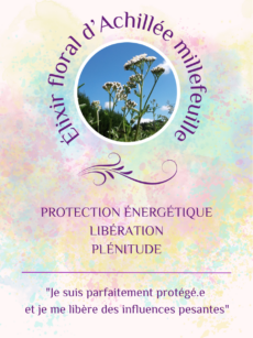 Elixir Floral Achillée Millefeuille bio et Demeter (20 ml)