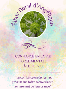 Elixir Floral Angélique bio et Demeter (20 ml)