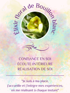 Elixir Floral Bouillon-blanc bio et Demeter (20 ml)