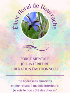 Elixir Floral Bourrache bio et Demeter (20 ml)