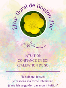 Elixir floral Bouton d'or bio et Demeter (20 ml)