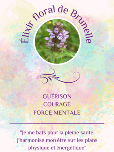 Elixir Floral Brunelle bio et Demeter (20 ml)