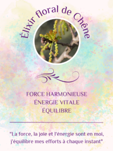 Elixir Floral Chêne bio et Demeter (20 ml) (Fleur de Bach® Oak)